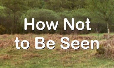 'Monty Python's Flying Circus 2.11 How Not to Be Seen' (1970)